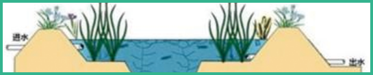 人工濕地，表面流人工濕地