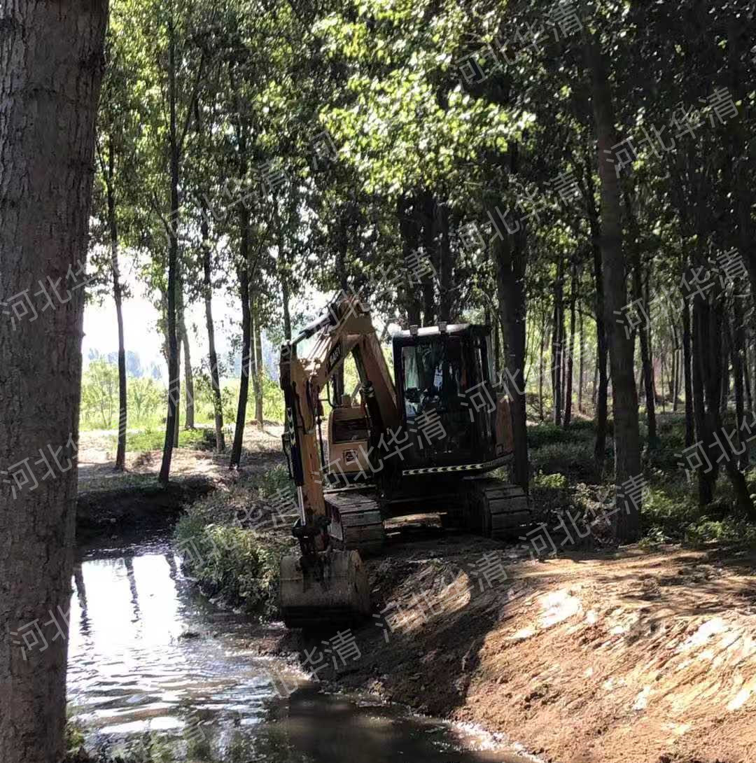 1625045155329895.jpg 767858273.jpg