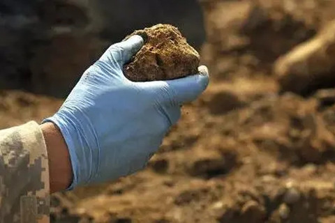 <a href=http://www.jiasikai.cn/turangjiance.html>土壤檢測(cè)</a>.jpg 土壤檢測(cè).jpg